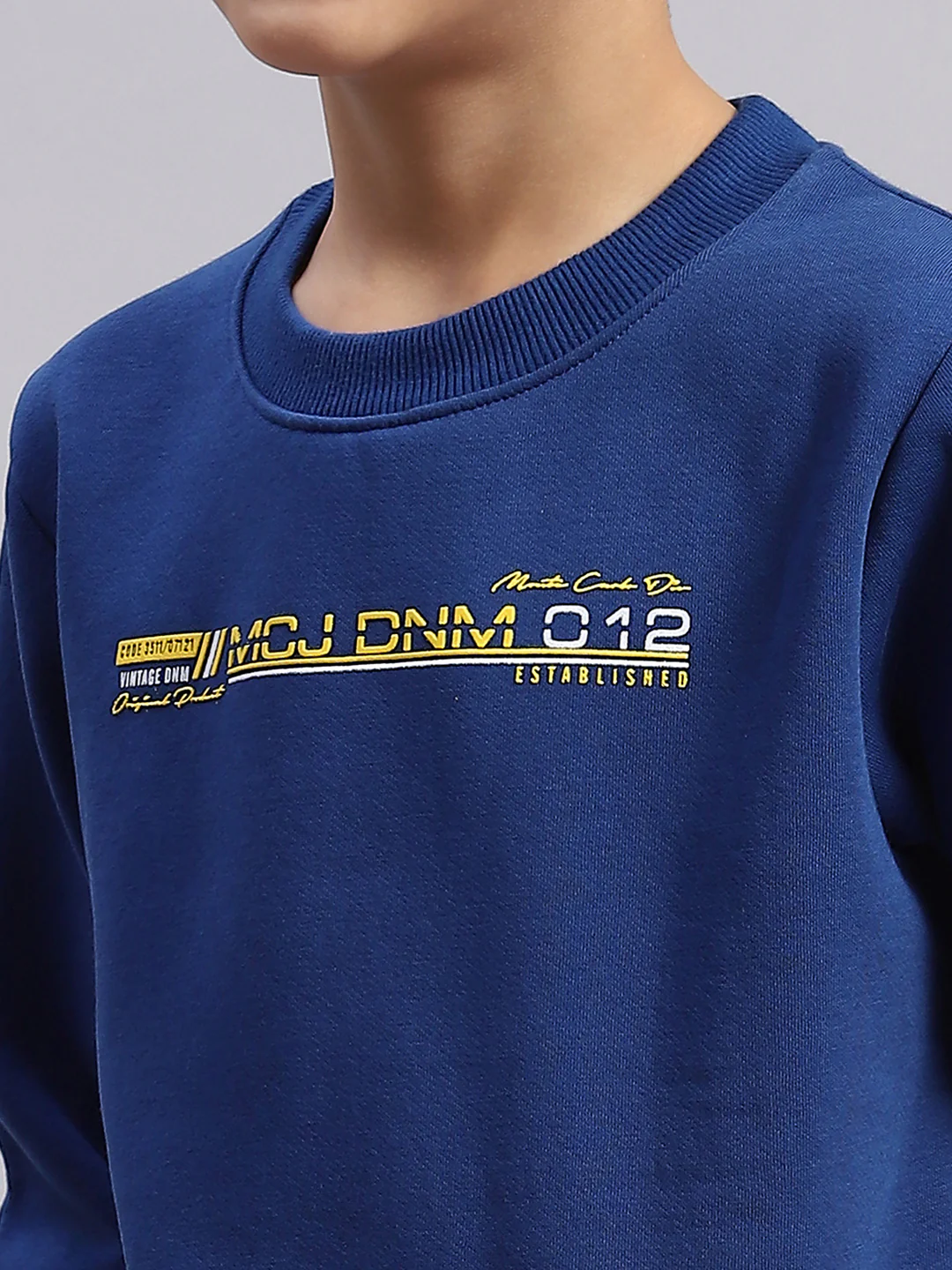 Boys Blue Printed Round Neck Full Sleeve Sweatshirt - Image 6
