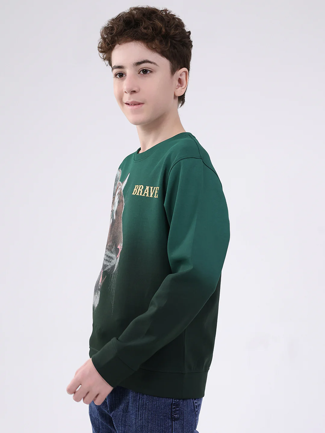 Boys Green Printed Round Neck Full Sleeve Sweatshirt - Image 3