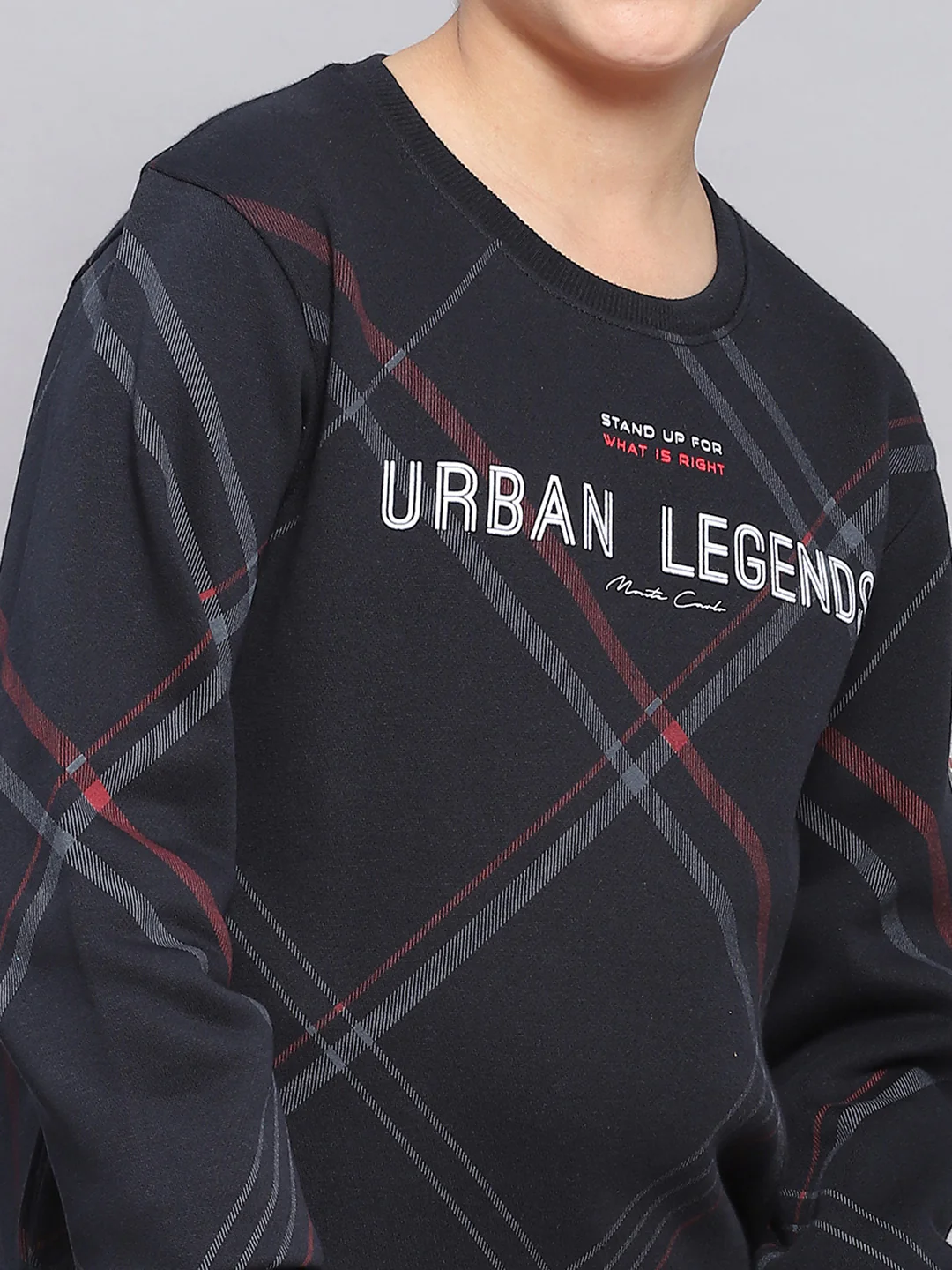 Boys Navy Blue Printed Round Neck Full Sleeve Sweatshirt - Image 6