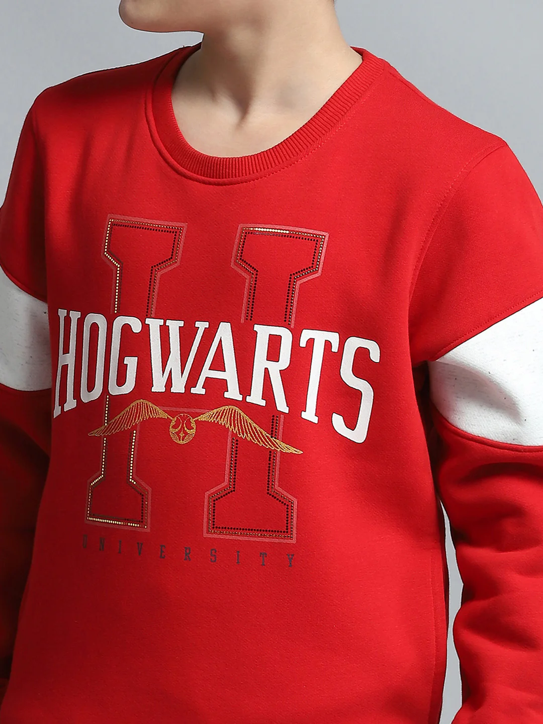 Boys Red Printed Round Neck Full Sleeve Sweatshirt - Image 6