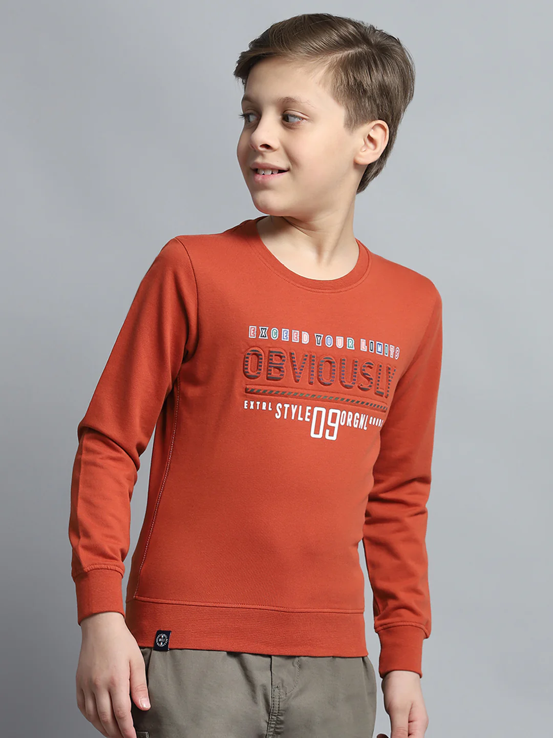 Boys Rust Printed Round Neck Full Sleeve Pullover - Image 4