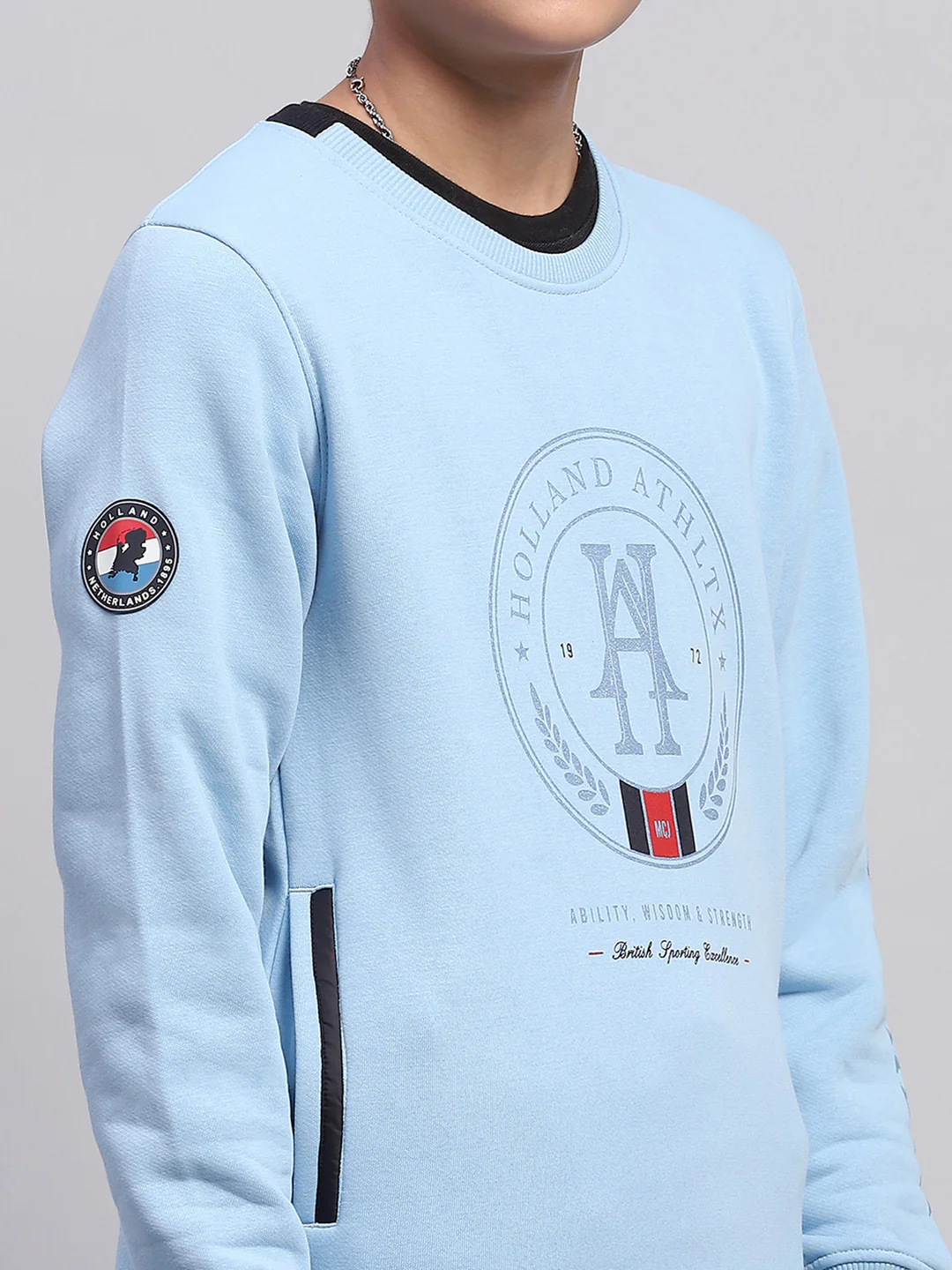 Boys Sky Blue Printed Round Neck Full Sleeve Sweatshirt - Image 6