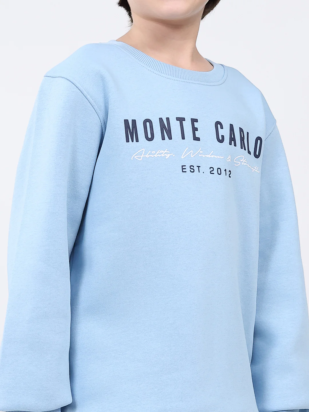 Boys Sky Blue Printed Round Neck Full Sleeve Sweatshirt - Image 6