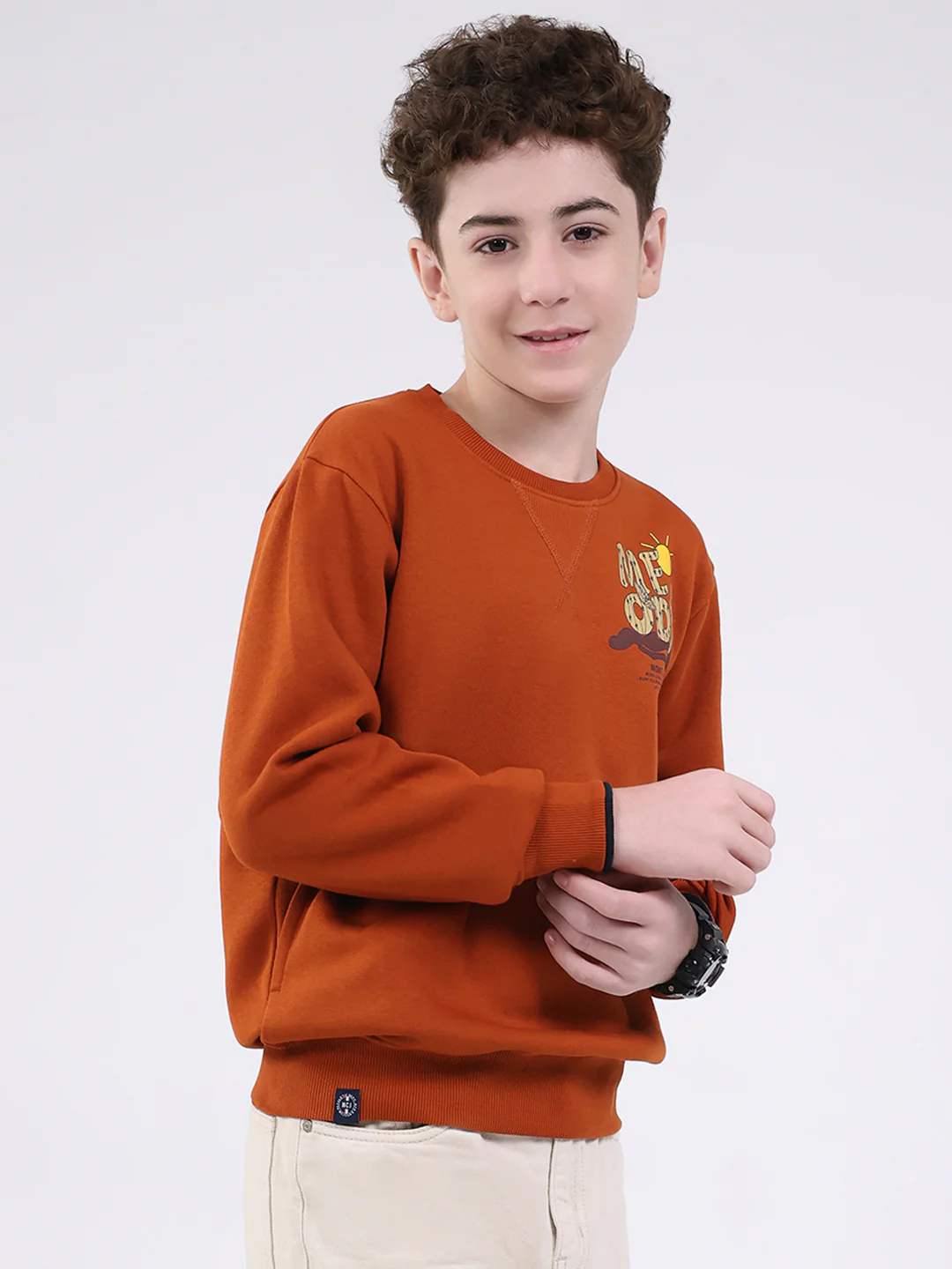Boys Tan Printed Round Neck Full Sleeve Sweatshirt - Image 4