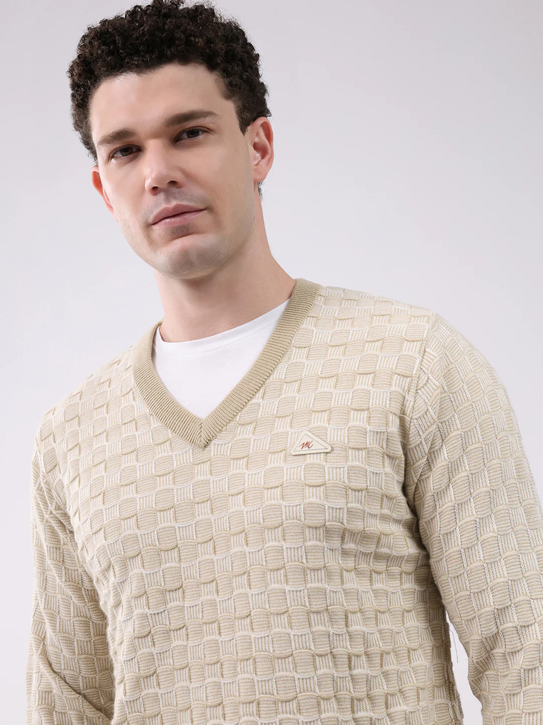 Men Beige Self Design V Neck Full Sleeve Pullover - Image 6