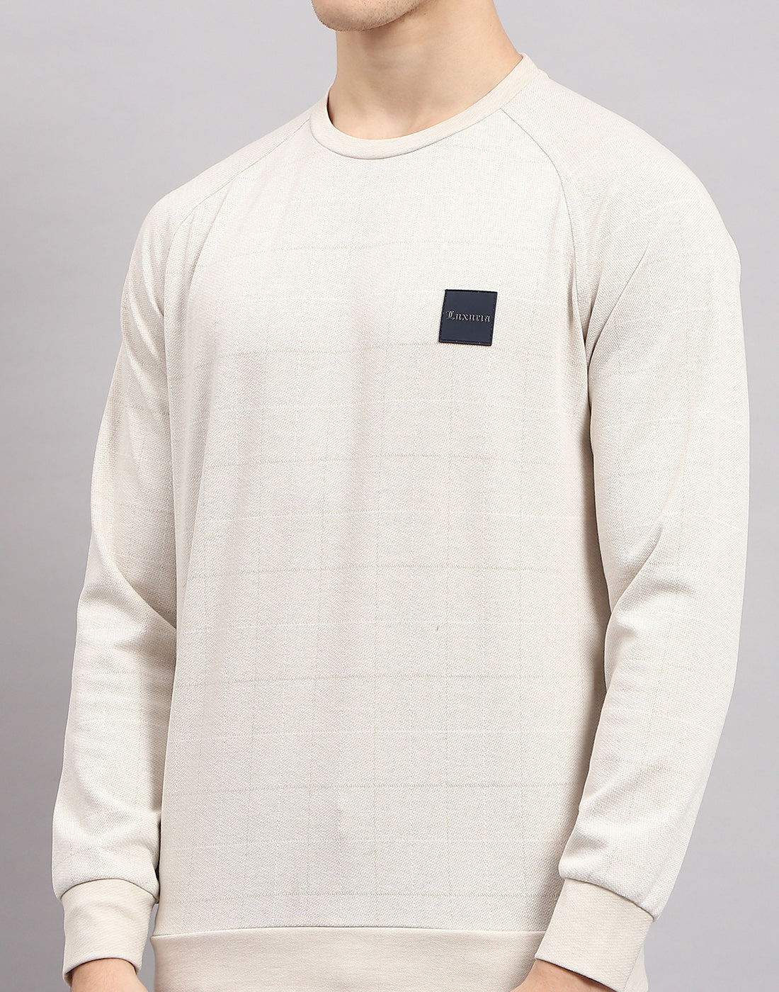 Men Beige Solid Round Neck Full Sleeve Sweatshirt - Image 7