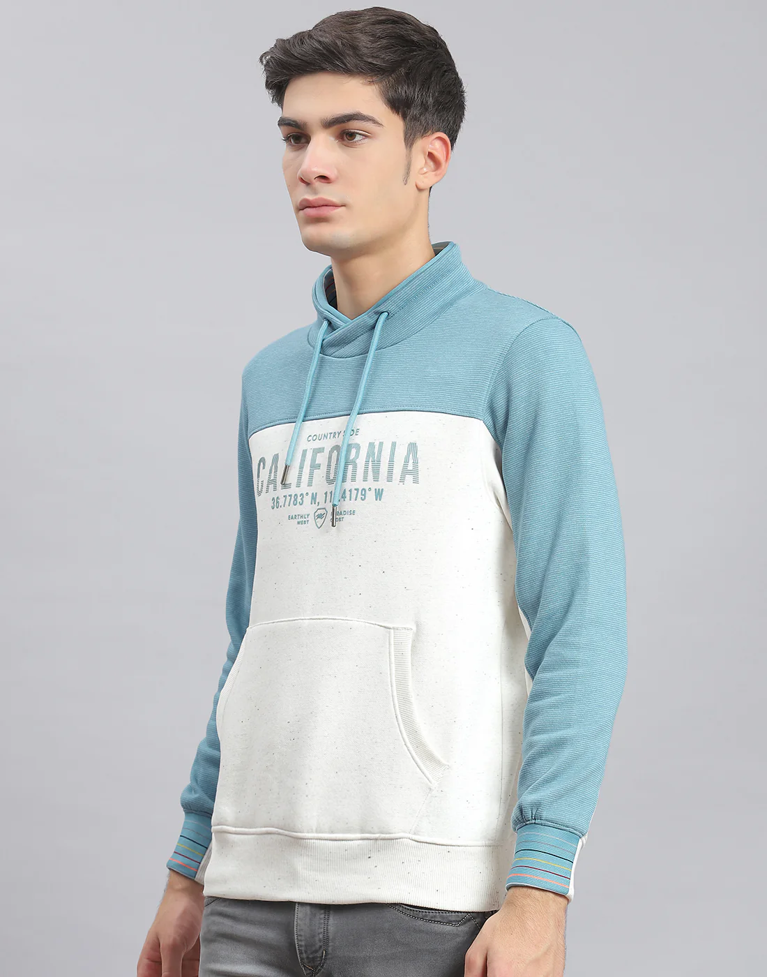 Men Blue Printed F Neck Full Sleeve Sweatshirt - Image 3