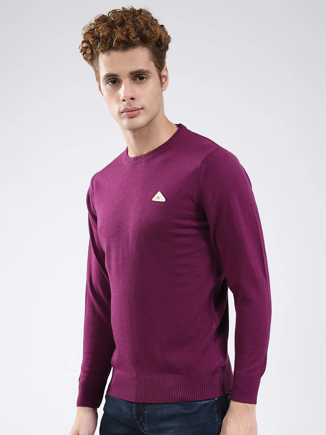 Men Purple Solid Round Neck Full Sleeve Pullover - Image 3