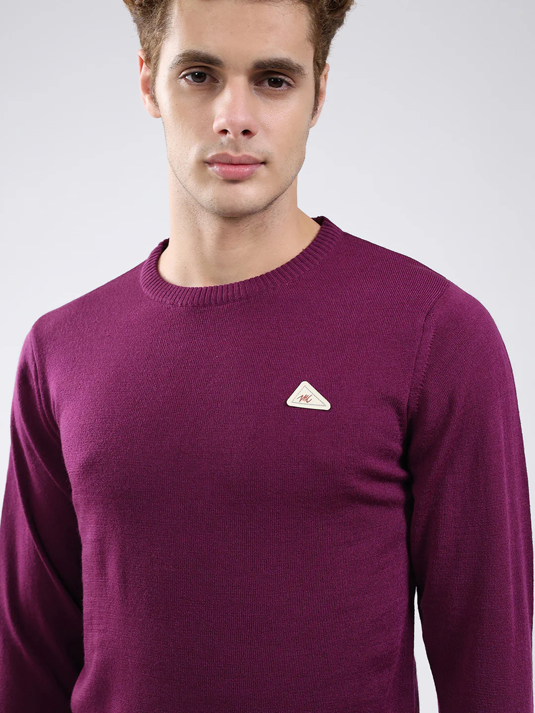 Men Purple Solid Round Neck Full Sleeve Pullover - Image 7