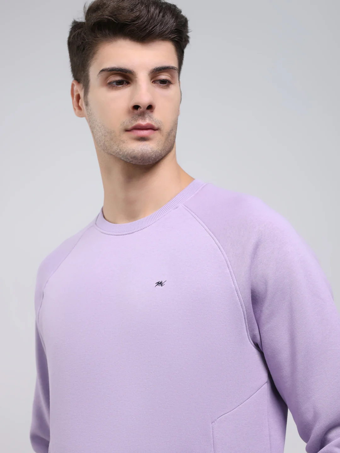 Men Purple Solid Round Neck Full Sleeve Sweatshirt - Image 6