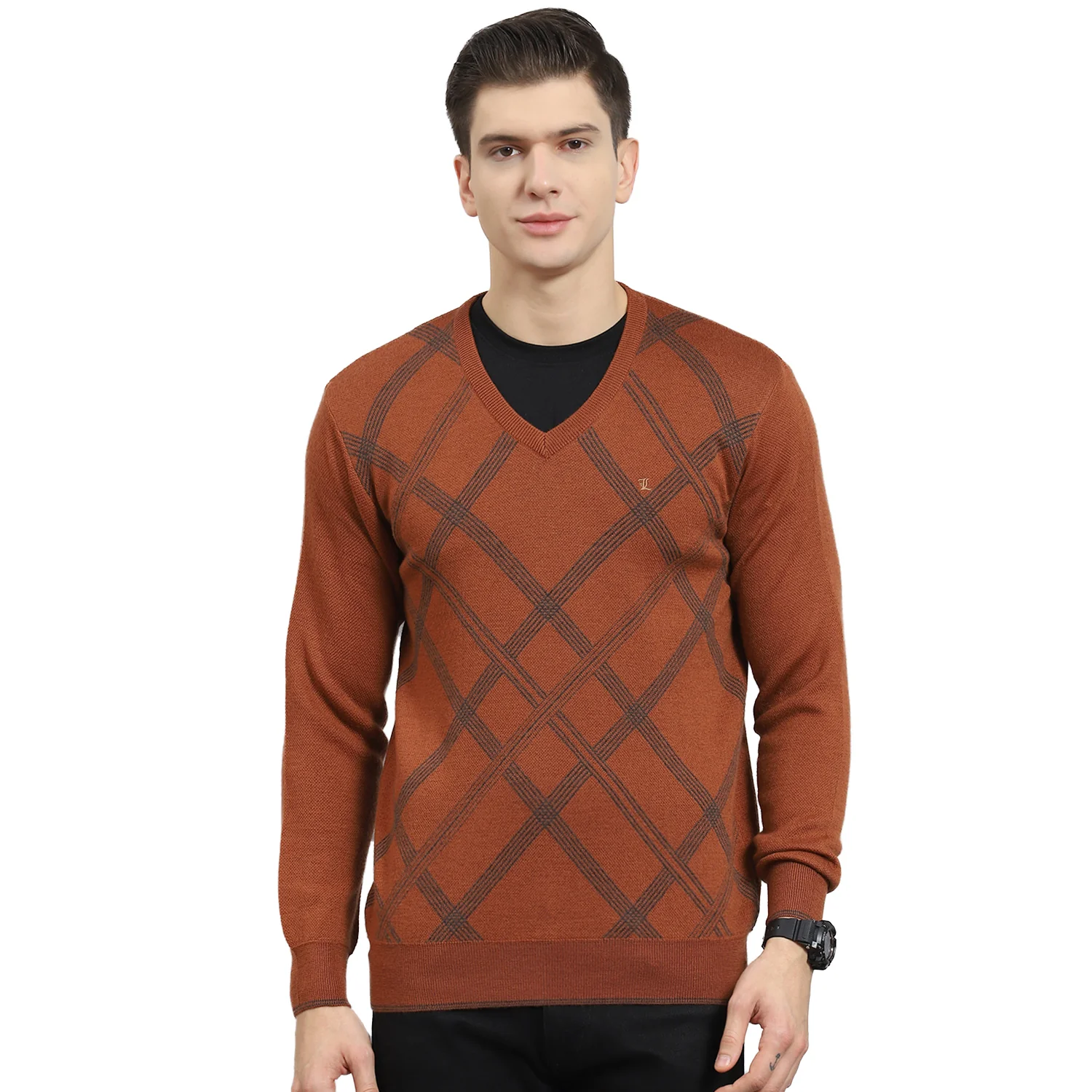 Men Rust Printed V Neck Full Sleeve Sweater - Image 5