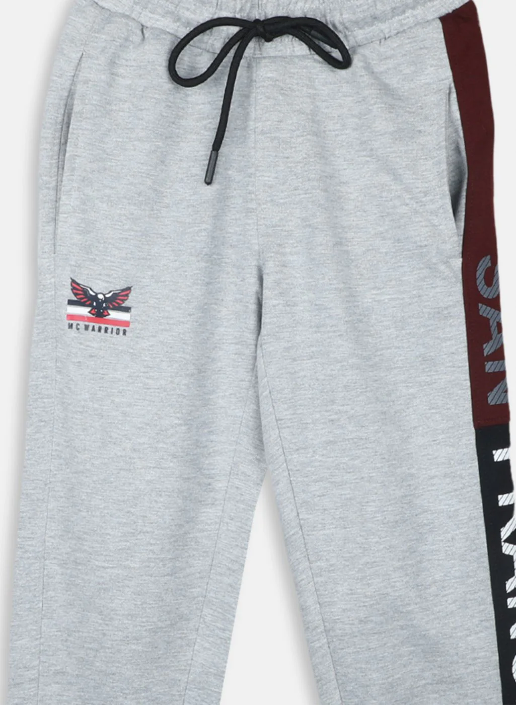 Boys Grey Regular Fit Lower - Image 3
