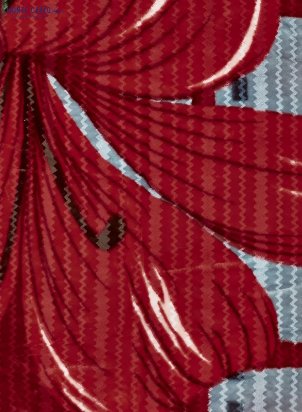 Printed Mink Single Blanket for Heavy Winter -2 Ply - Image 6