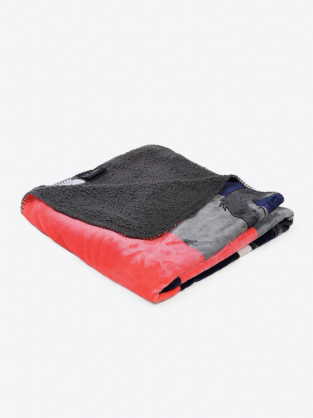 Printed Baby Blanket 2 Ply, 550 GSM, Weight 0.48 kg (Fairy Tale) - Image 4