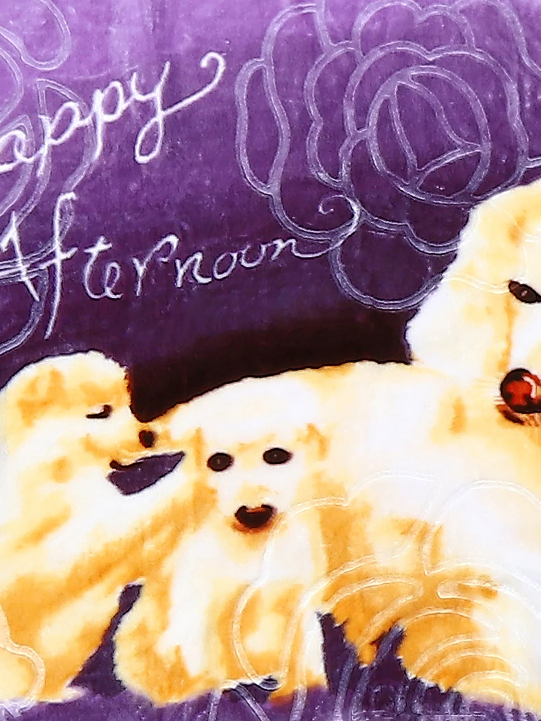 Printed Baby Blanket For Winter 1 Ply, 625 GSM, Weight 0.55 kg (Toddler) - Image 3