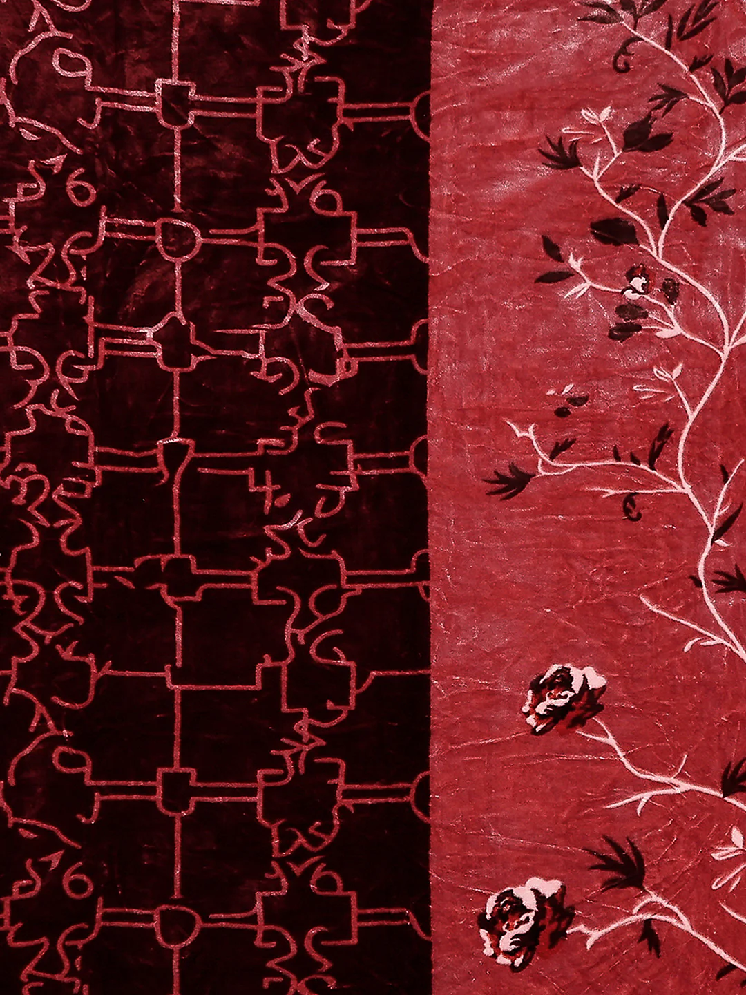Printed Double Bed Reversible Blanket 2 Ply, 872 GSM, 4.6 kg (Moonvalley) - Image 5