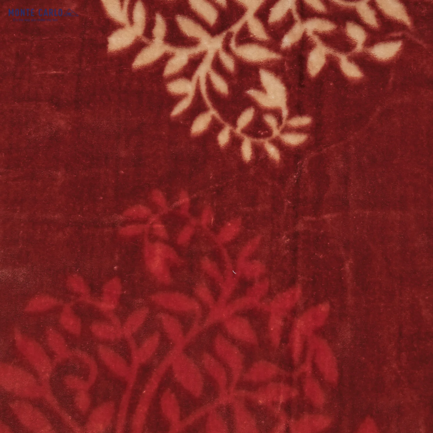 Printed Double Bed Blanket for Heavy Winter -2 Ply - Image 7
