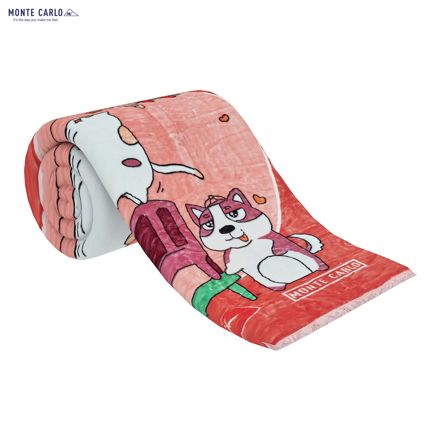 Printed Single Bed Blanket for Mild Winter -2 Ply - Image 4