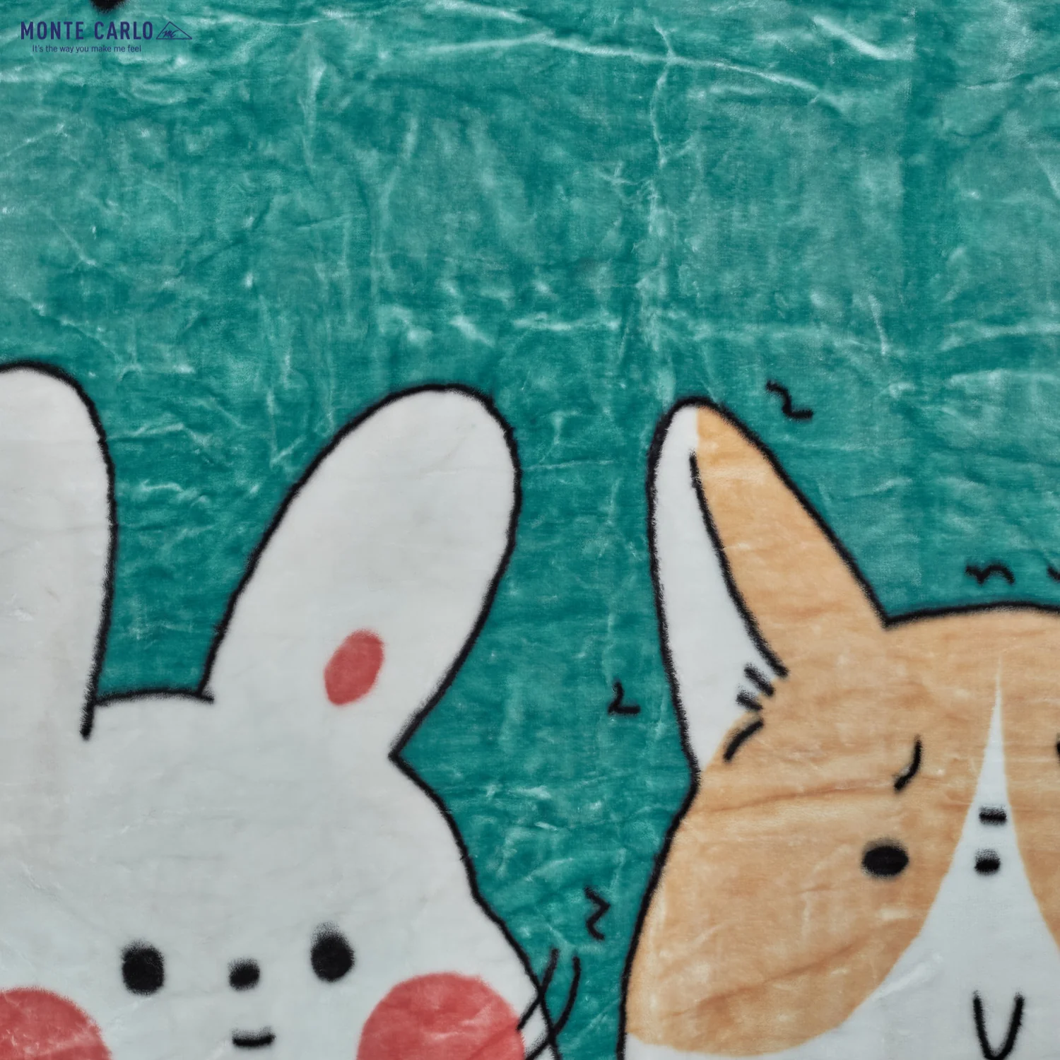 Printed Single Bed Blanket for Mild Winter -2 Ply - Image 6